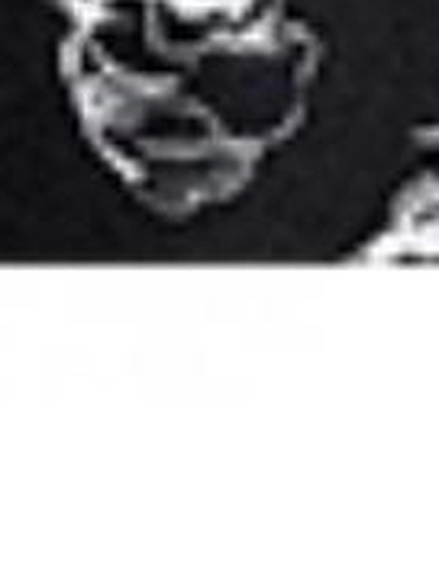 Floral Lace Ruffle Waist Maxi Dress