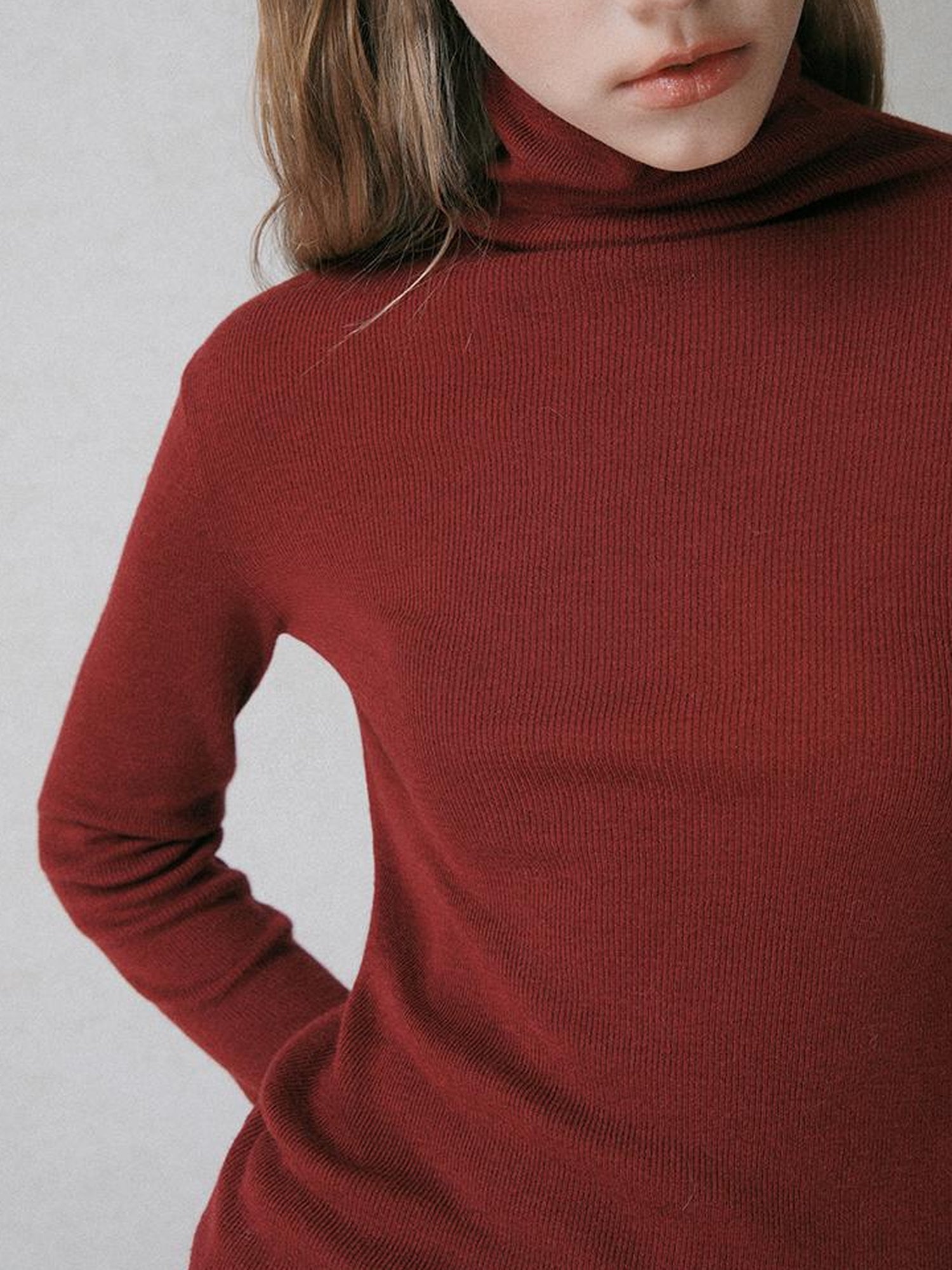 AnnoMundi High Neck Slim Fit Wool Blend Knit Sweater