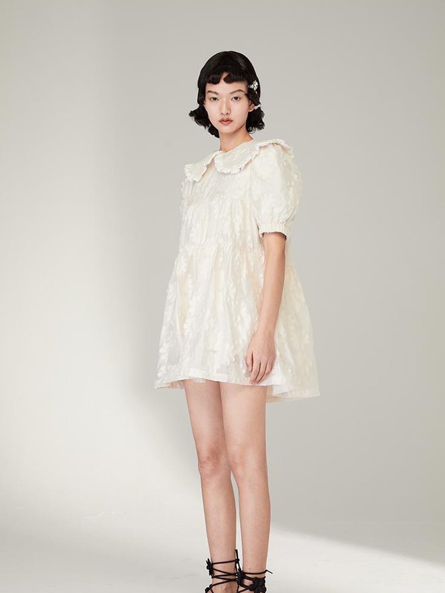 Floral Lace Peter Pan Collar A Line Dress