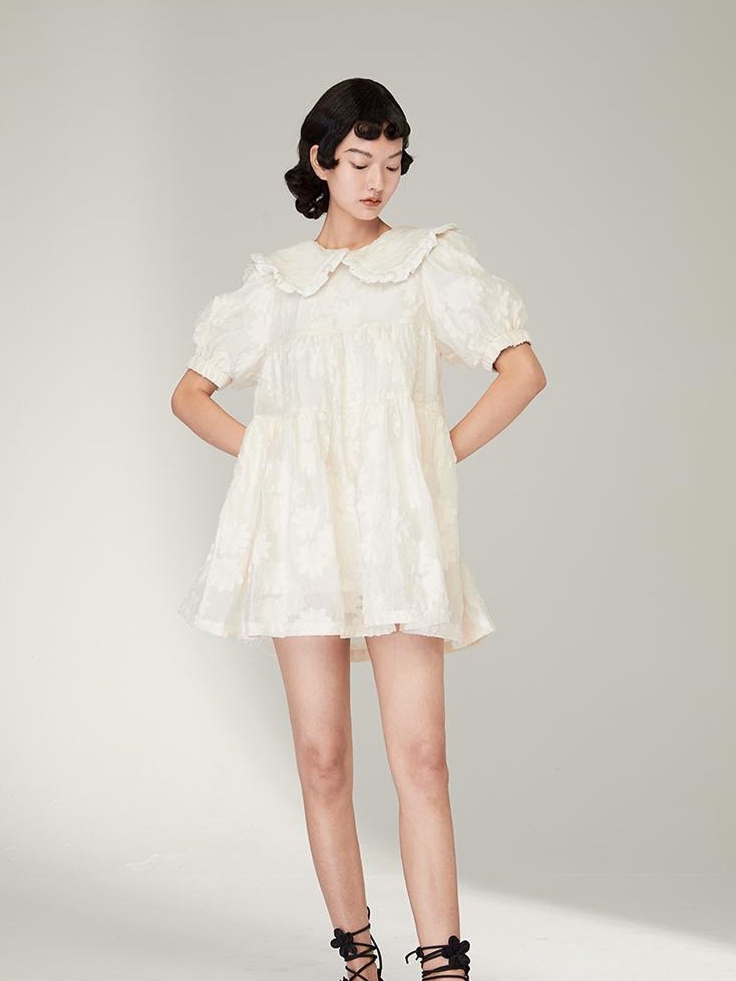 Floral Lace Peter Pan Collar A Line Dress