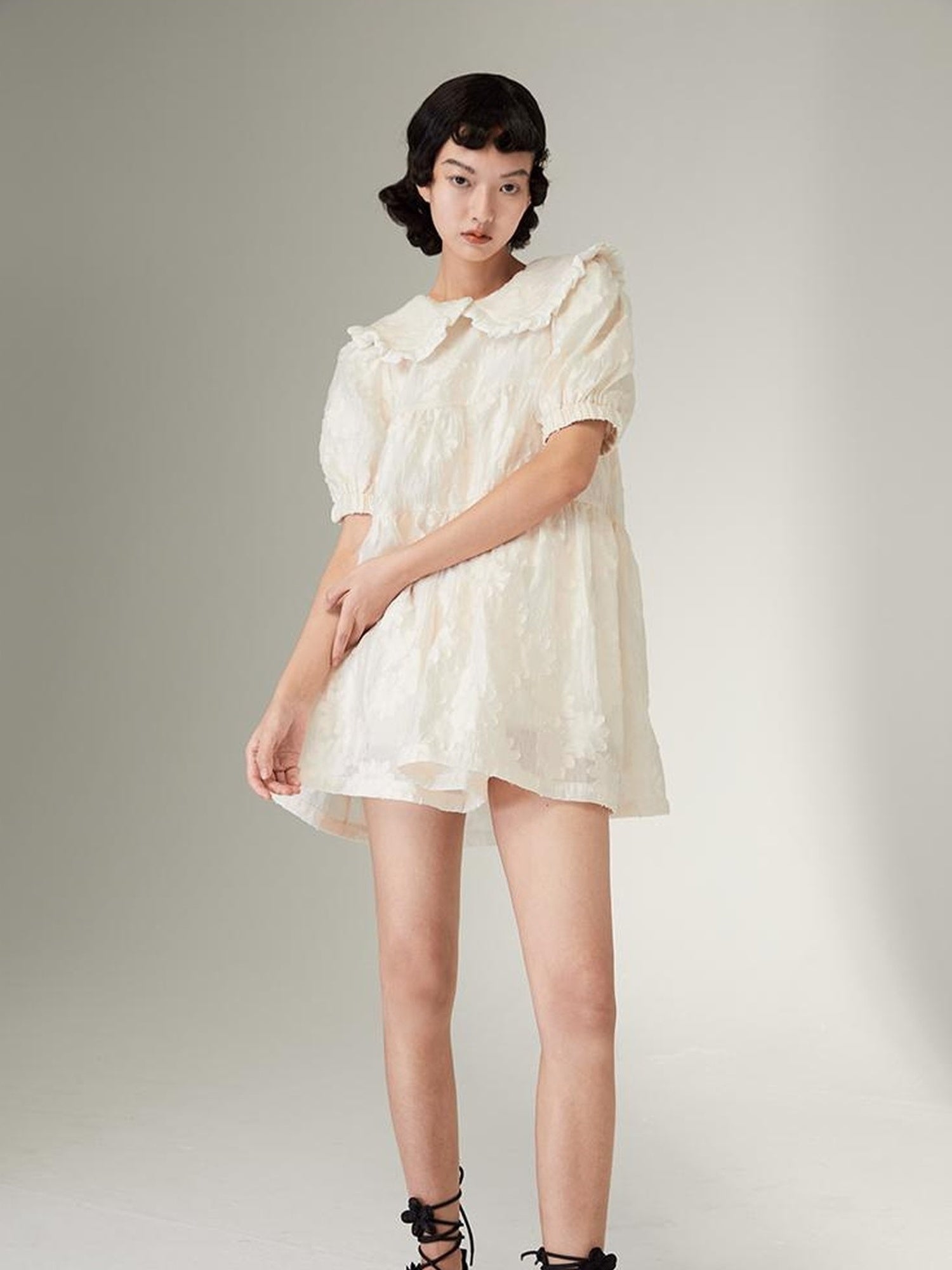 Floral Lace Peter Pan Collar A Line Dress