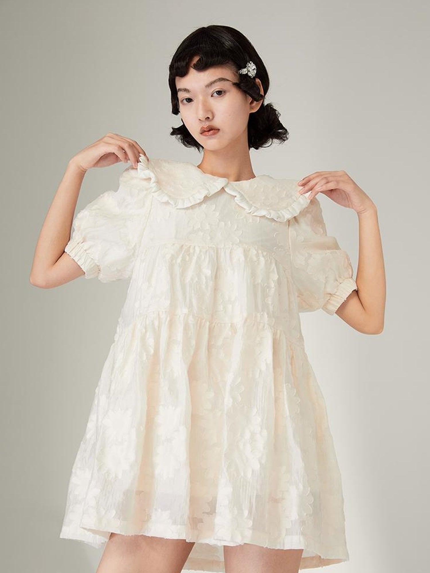 Floral Lace Peter Pan Collar A Line Dress