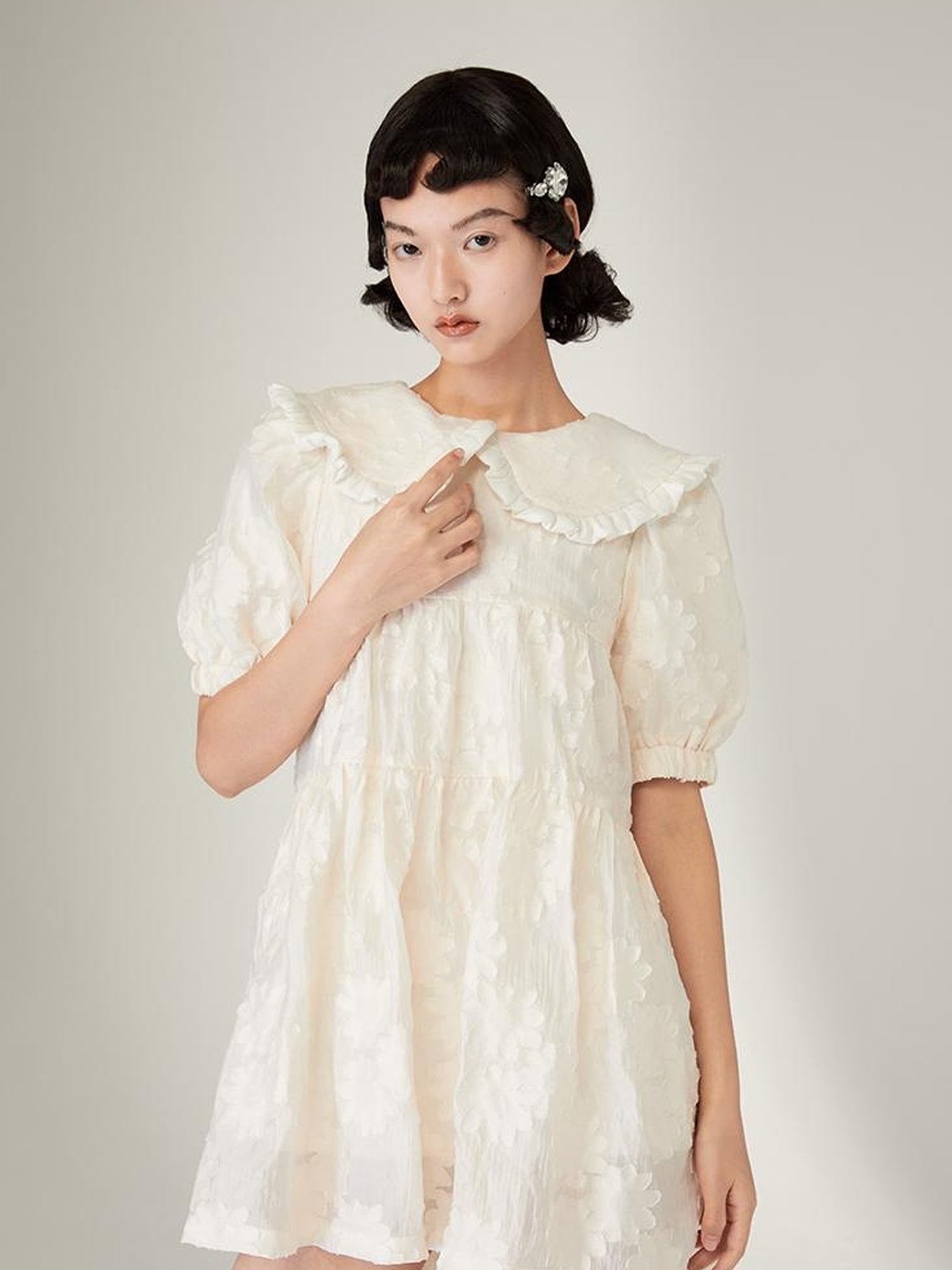 Floral Lace Peter Pan Collar A Line Dress