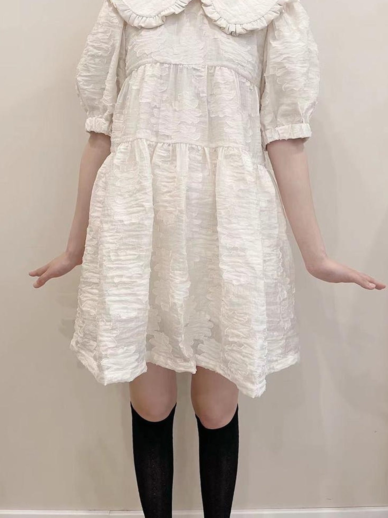 Floral Lace Peter Pan Collar A Line Dress