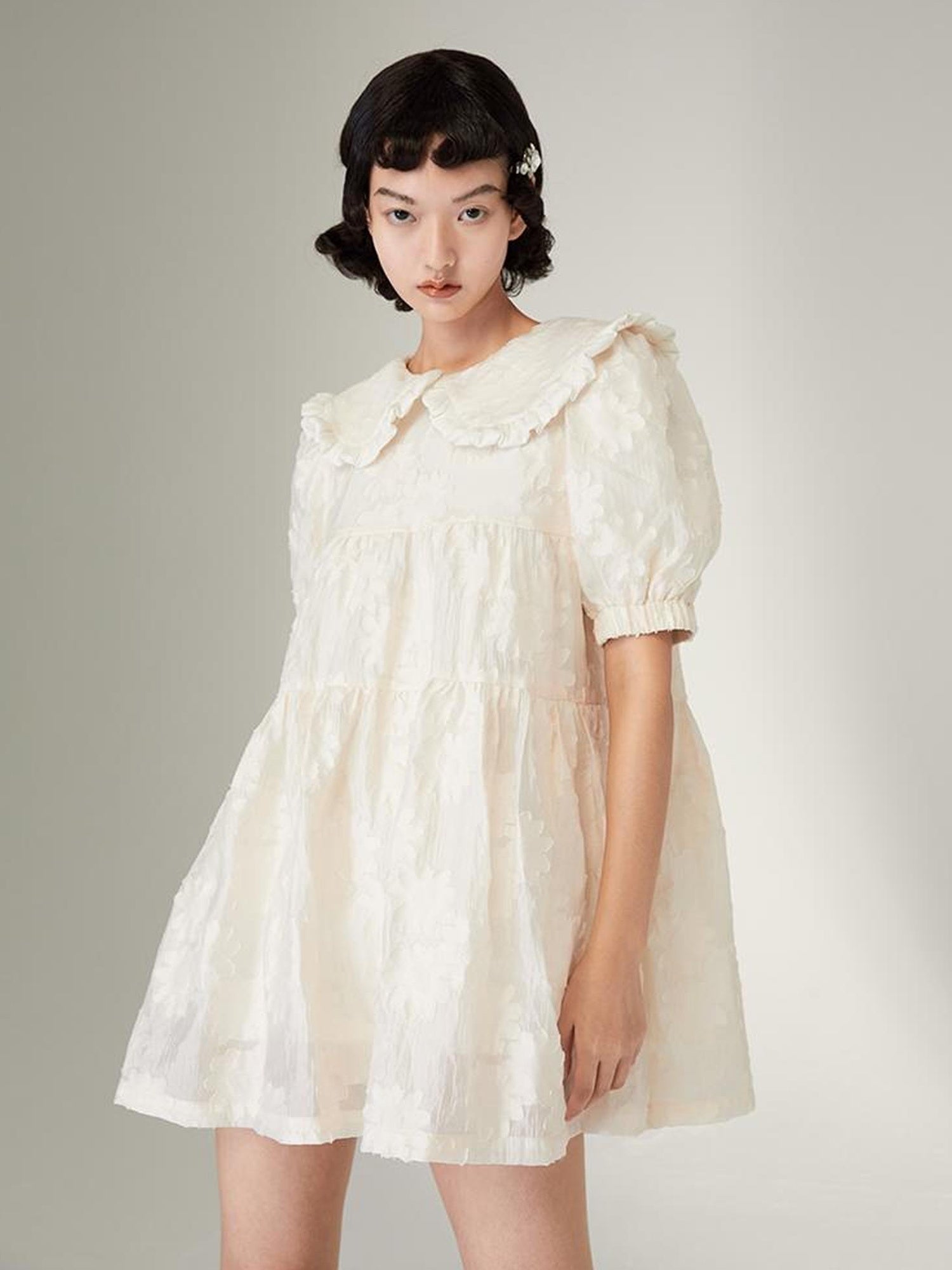 Floral Lace Peter Pan Collar A Line Dress