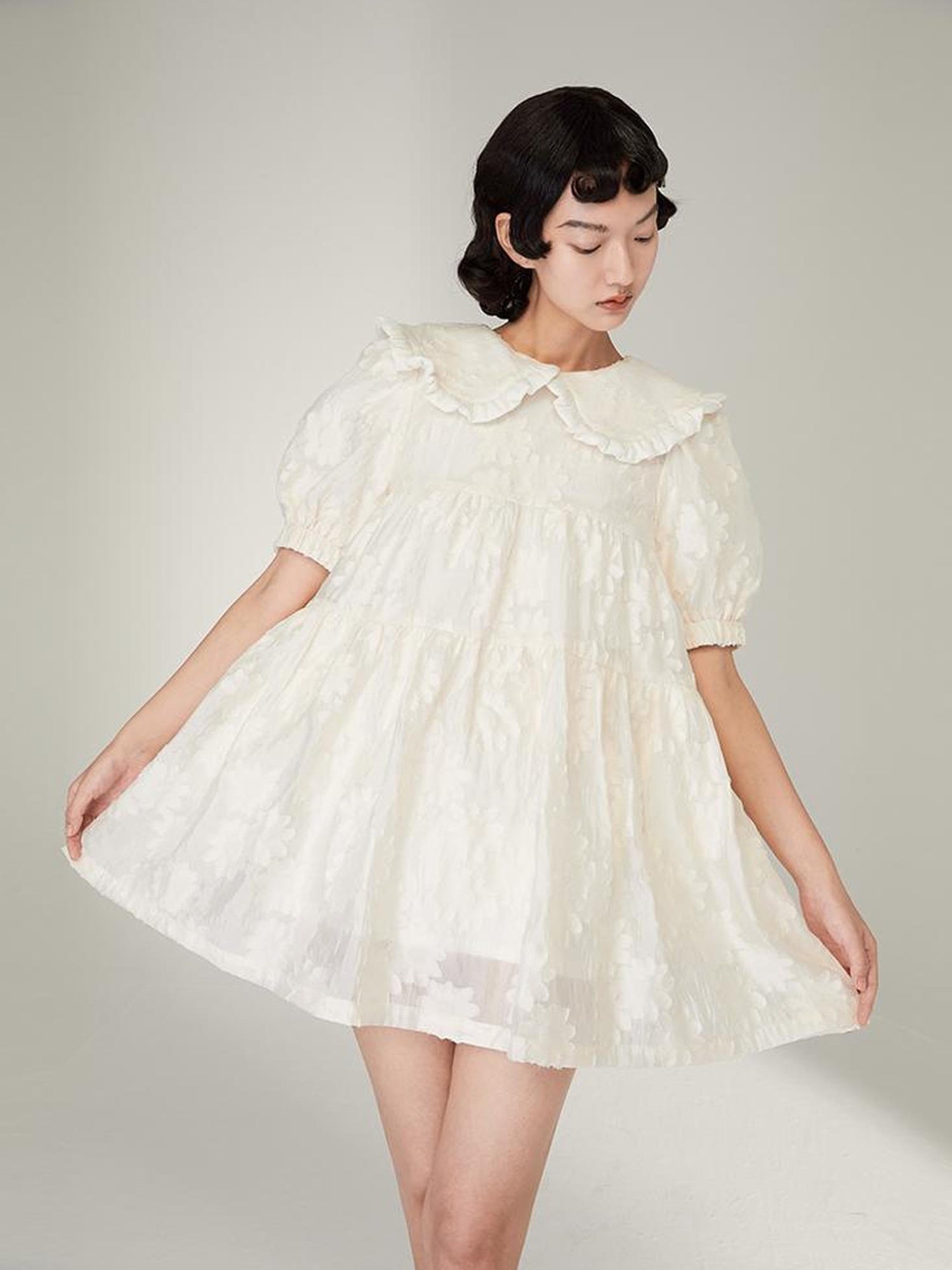 Floral Lace Peter Pan Collar A Line Dress