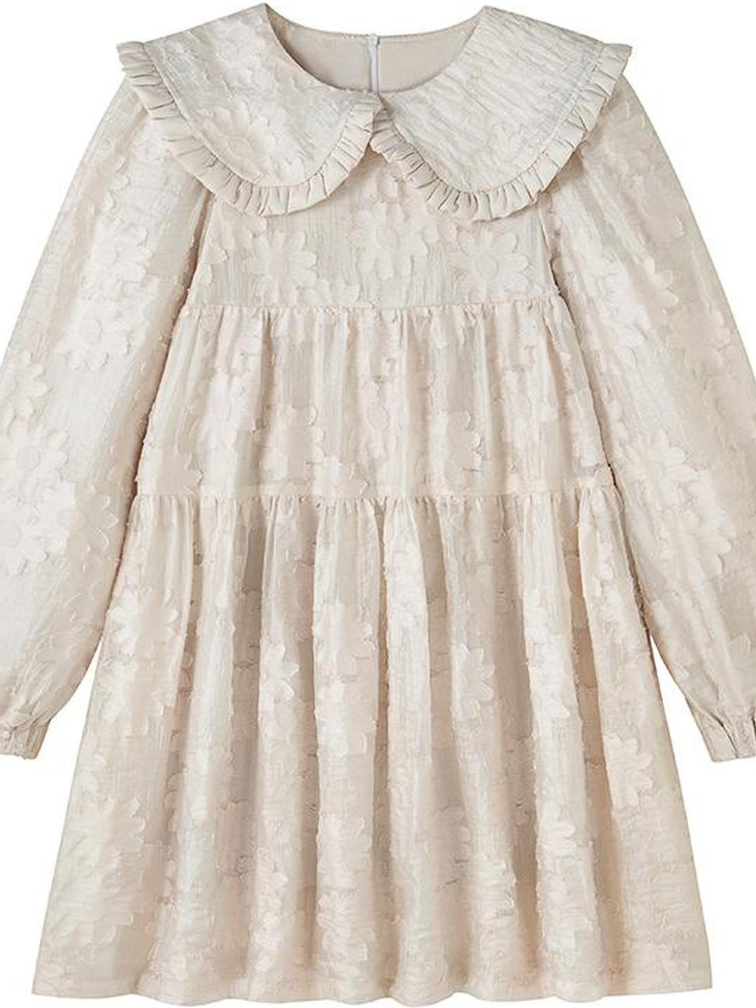 Floral Lace Peter Pan Collar A Line Dress
