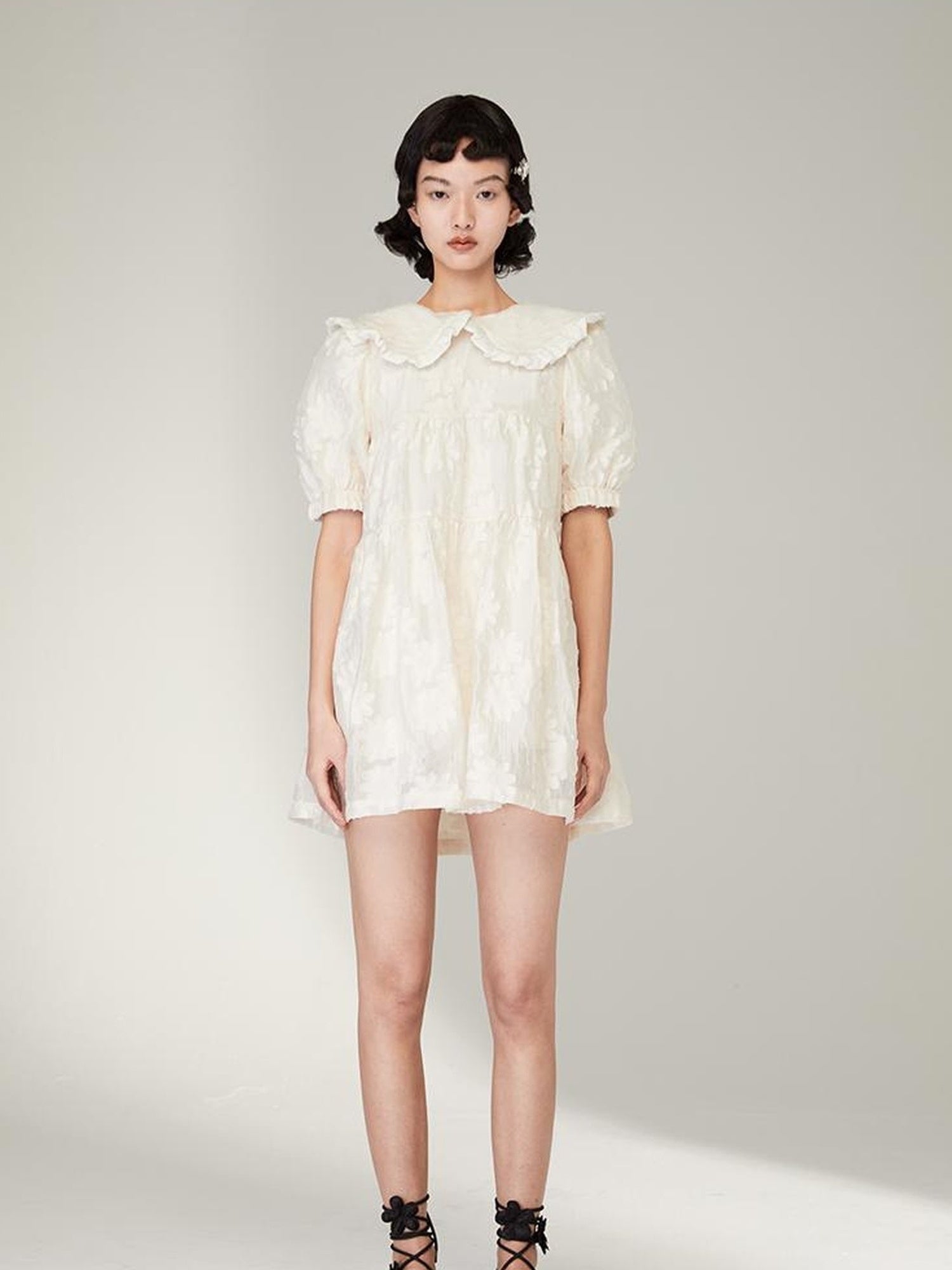 Floral Lace Peter Pan Collar A Line Dress