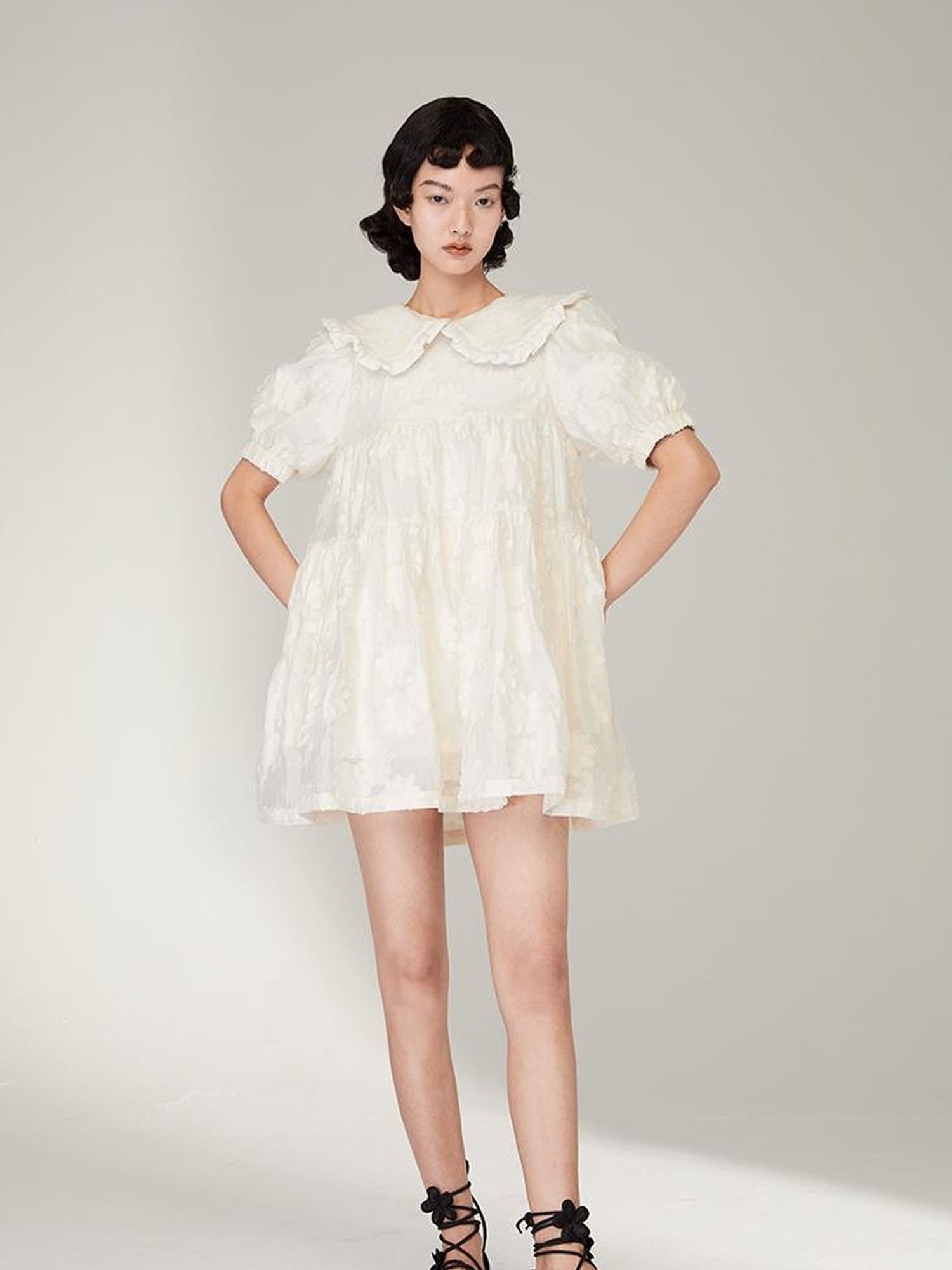 Floral Lace Peter Pan Collar A Line Dress