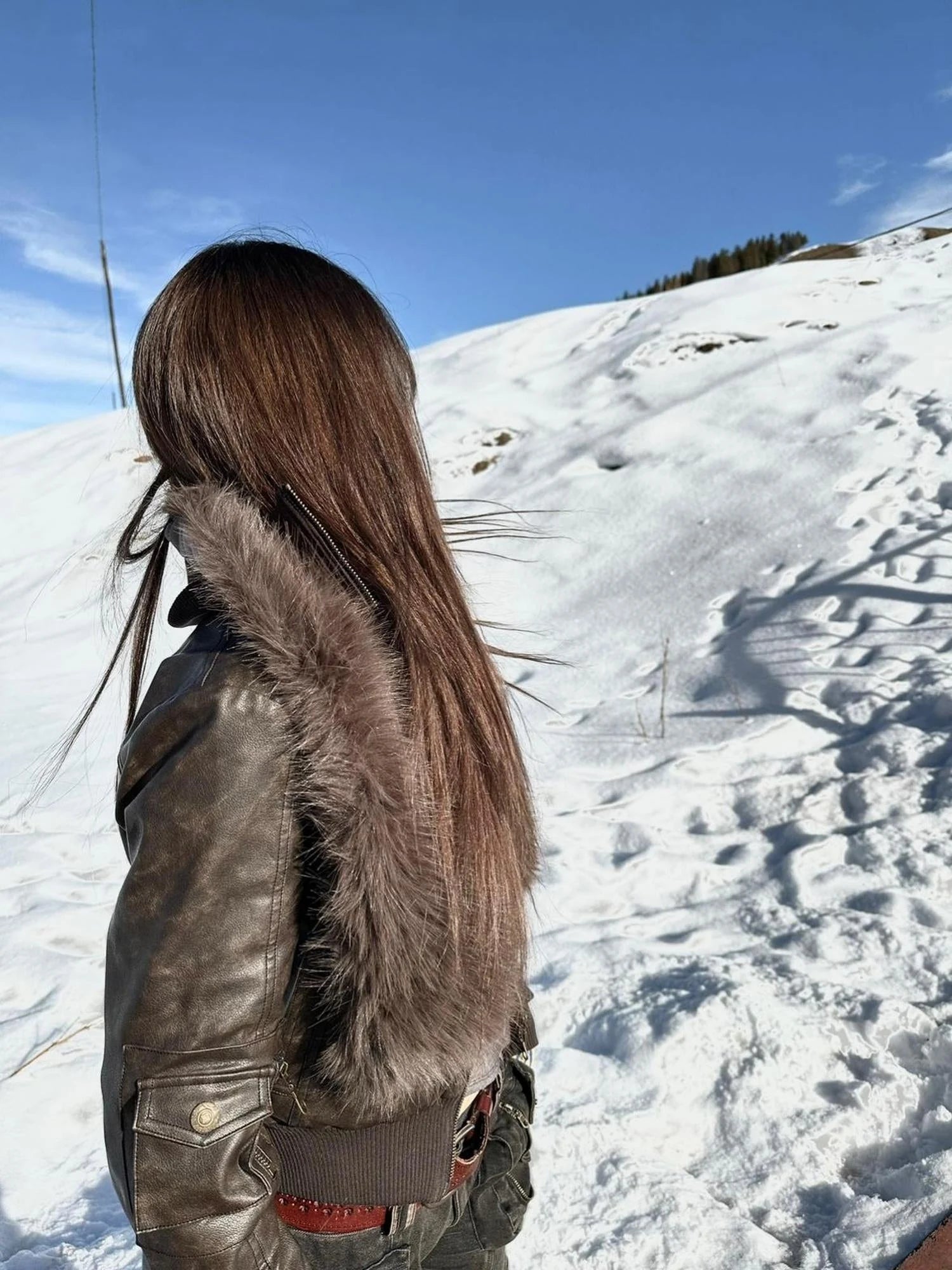 Detachable Eco Fur Windproof Short Jacket