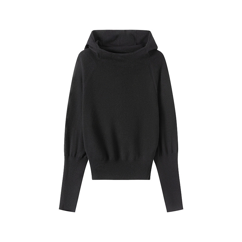 LYUOCHENG_Wool_Blend_Hooded_Knit_Sweater_MISSTT