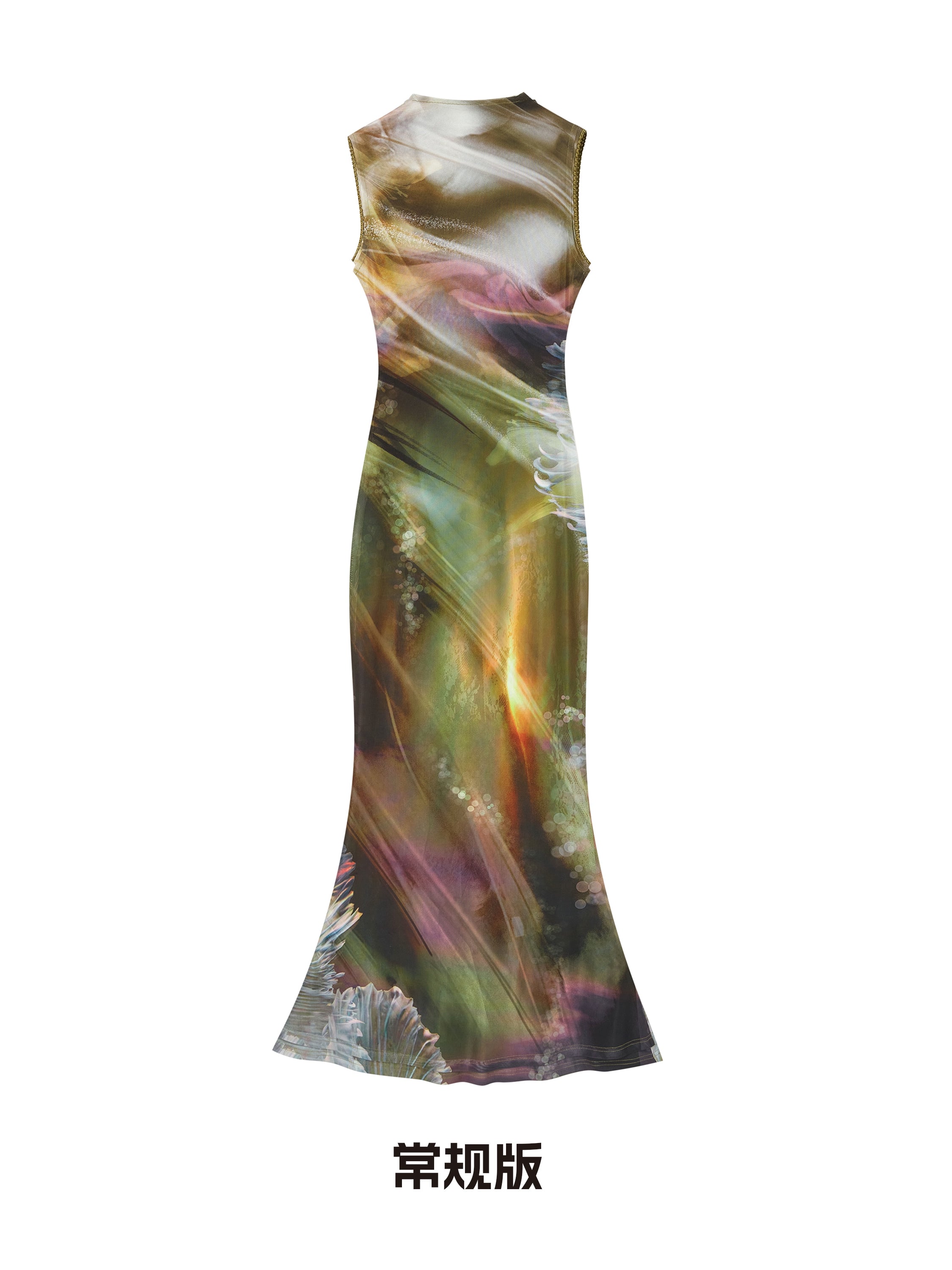 OfAkiva_Vintage_Glow_Floral_Cheongsam_Dress_With_Sheer_Mesh_MISSTT