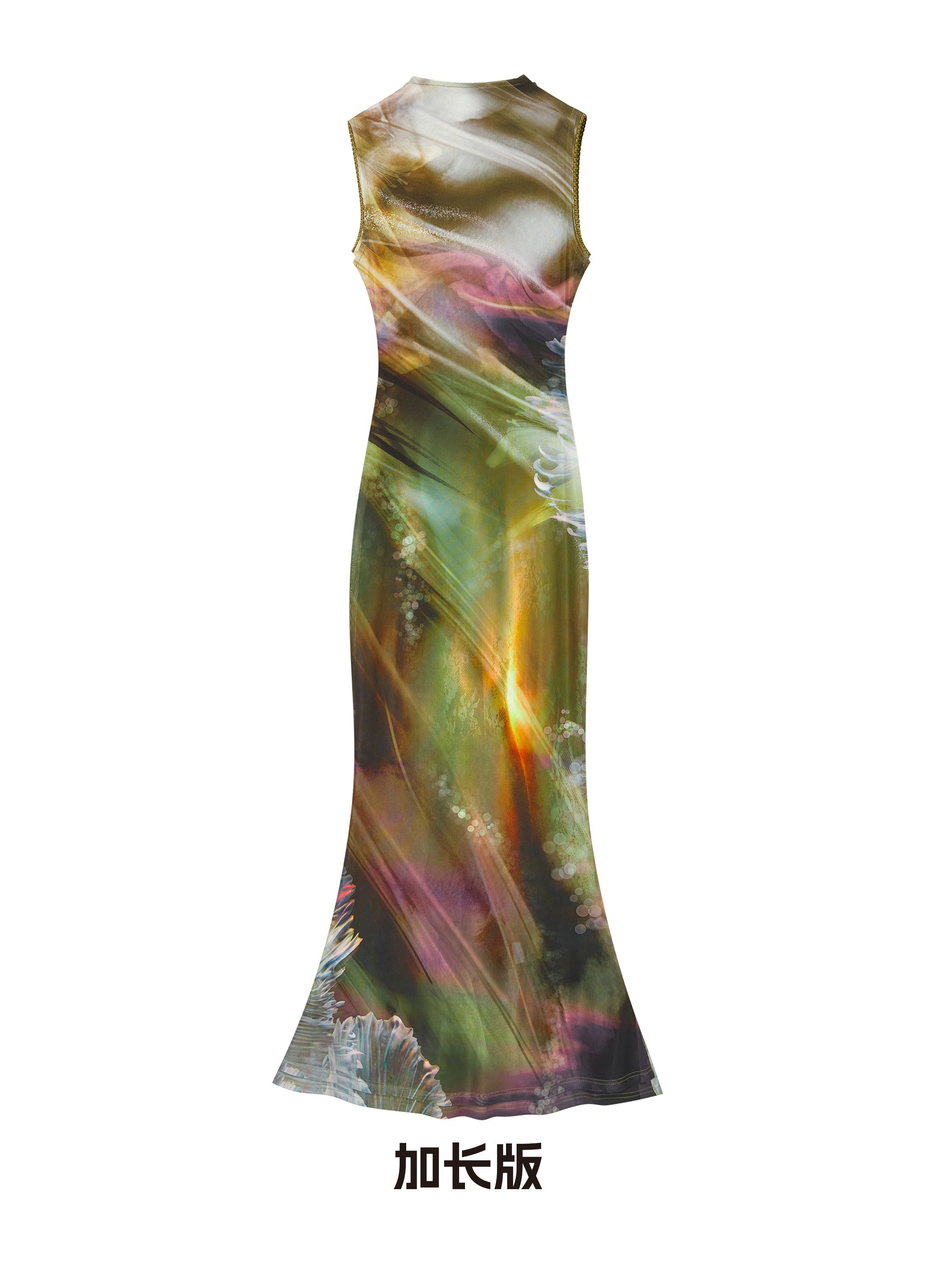 OfAkiva_Vintage_Glow_Floral_Cheongsam_Dress_With_Sheer_Mesh_MISSTT