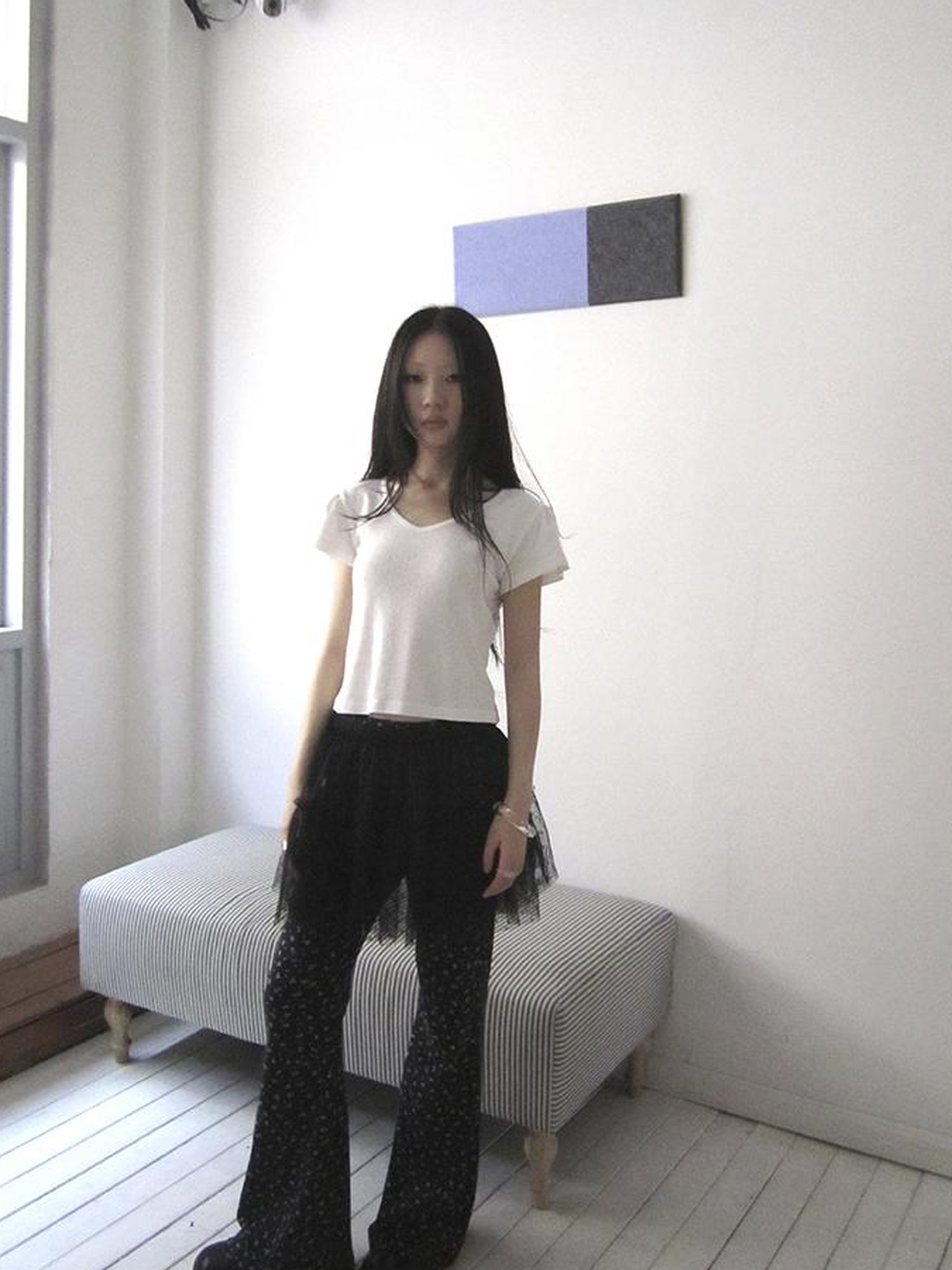 Updateang project V-Neck Crop Top With Small Wing Sleeves