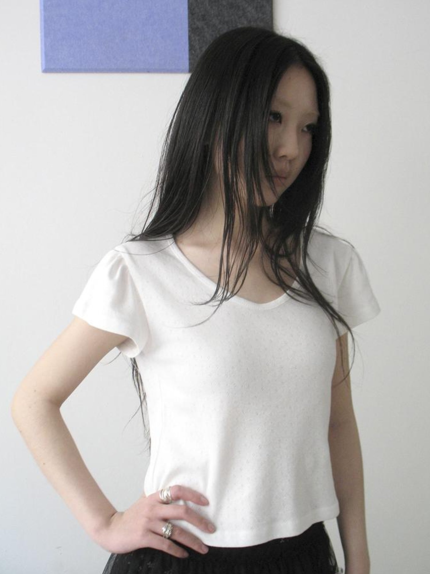 Updateang project V-Neck Crop Top With Small Wing Sleeves