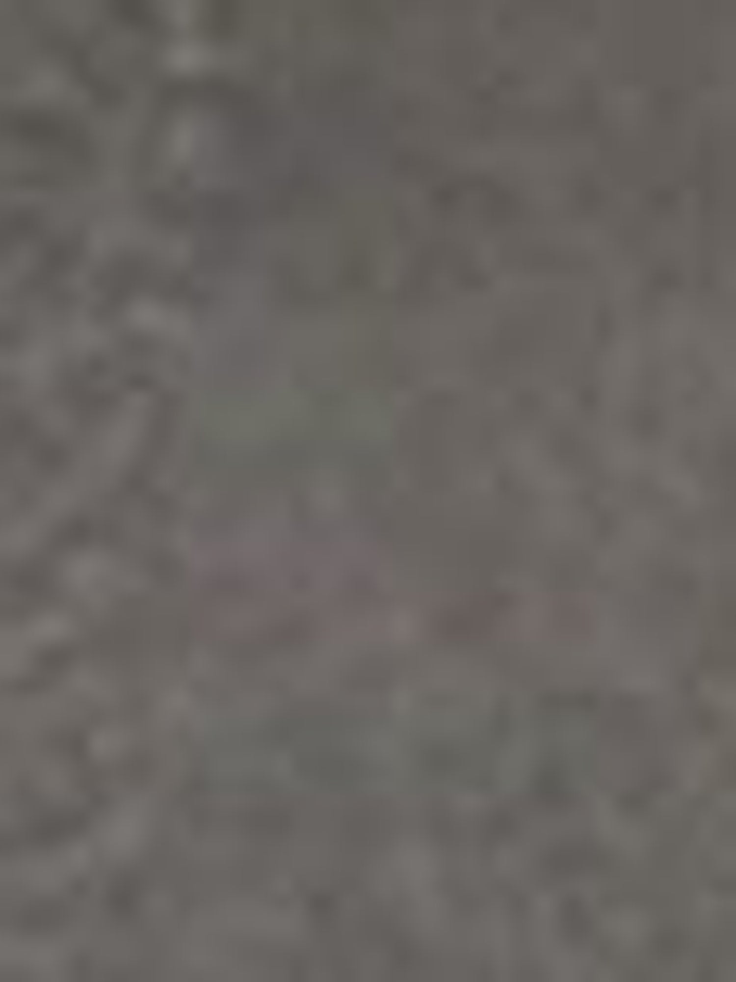 commonce net Lace Panel Pleated Trousers With Straight Leg