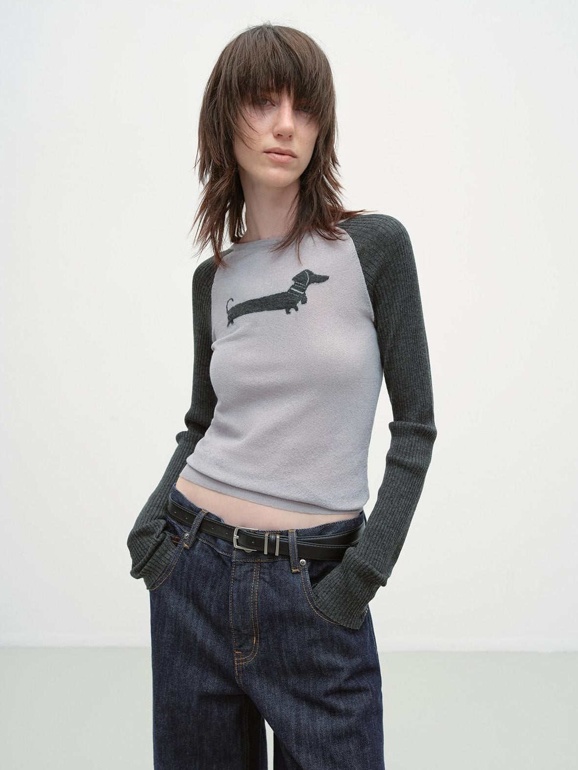 RUN TO THE FUTURE Breathable Thin Knit Slim Casual Raglan Women Outdoor Animal Crew Neck Crop Tops