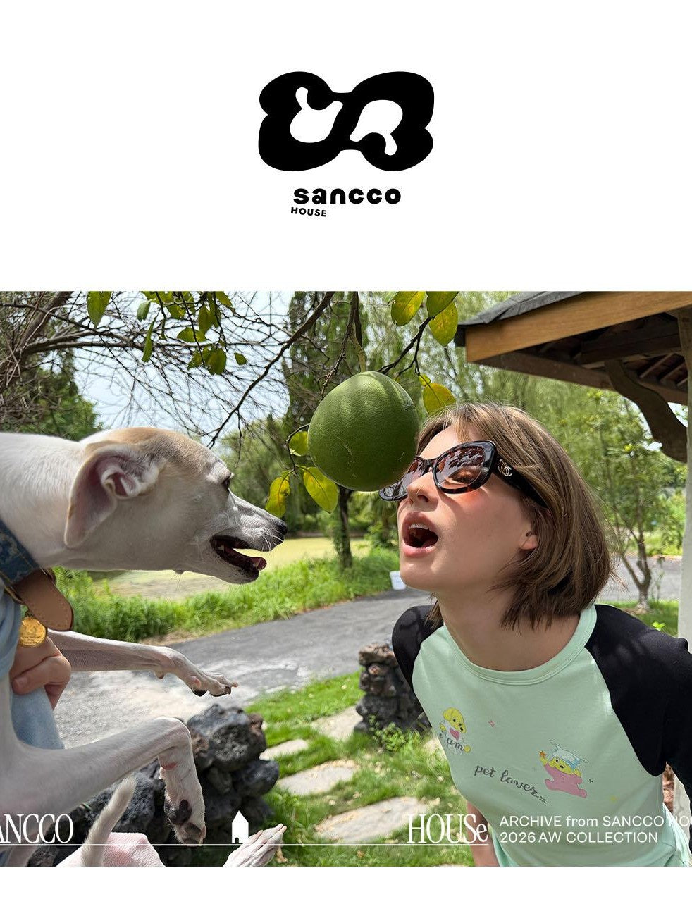 sancco house Dog Print Colorblock Raglan Three Quarter Sleeve Slim Fit Women&