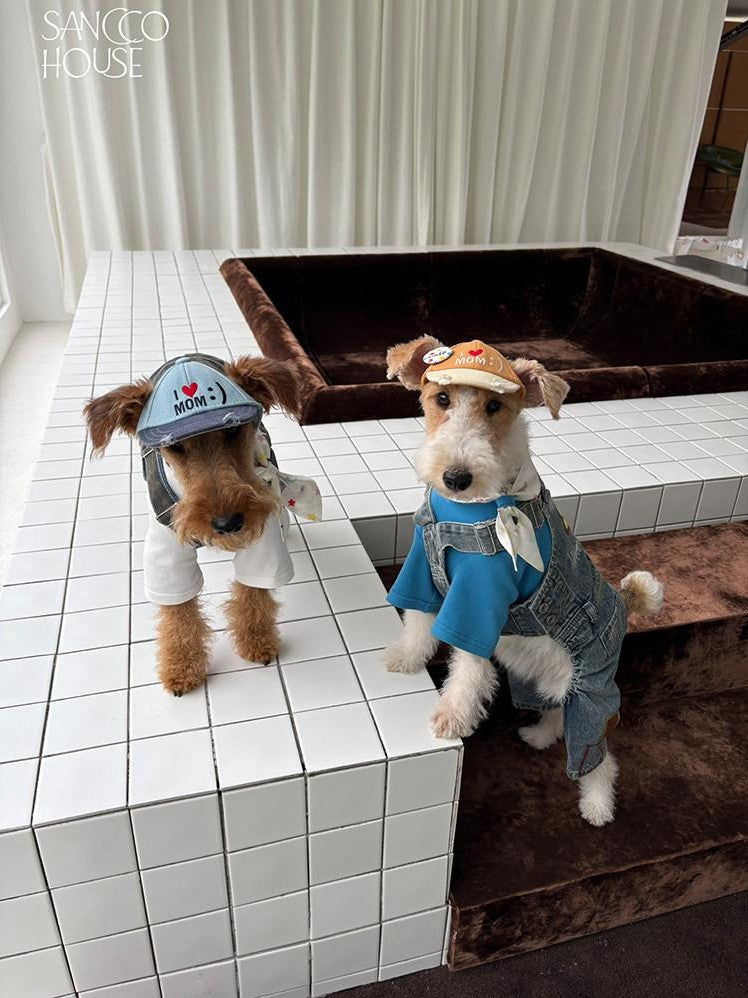 sancco house Pet Lover 3d Embroidered Colorblock Washed Women&