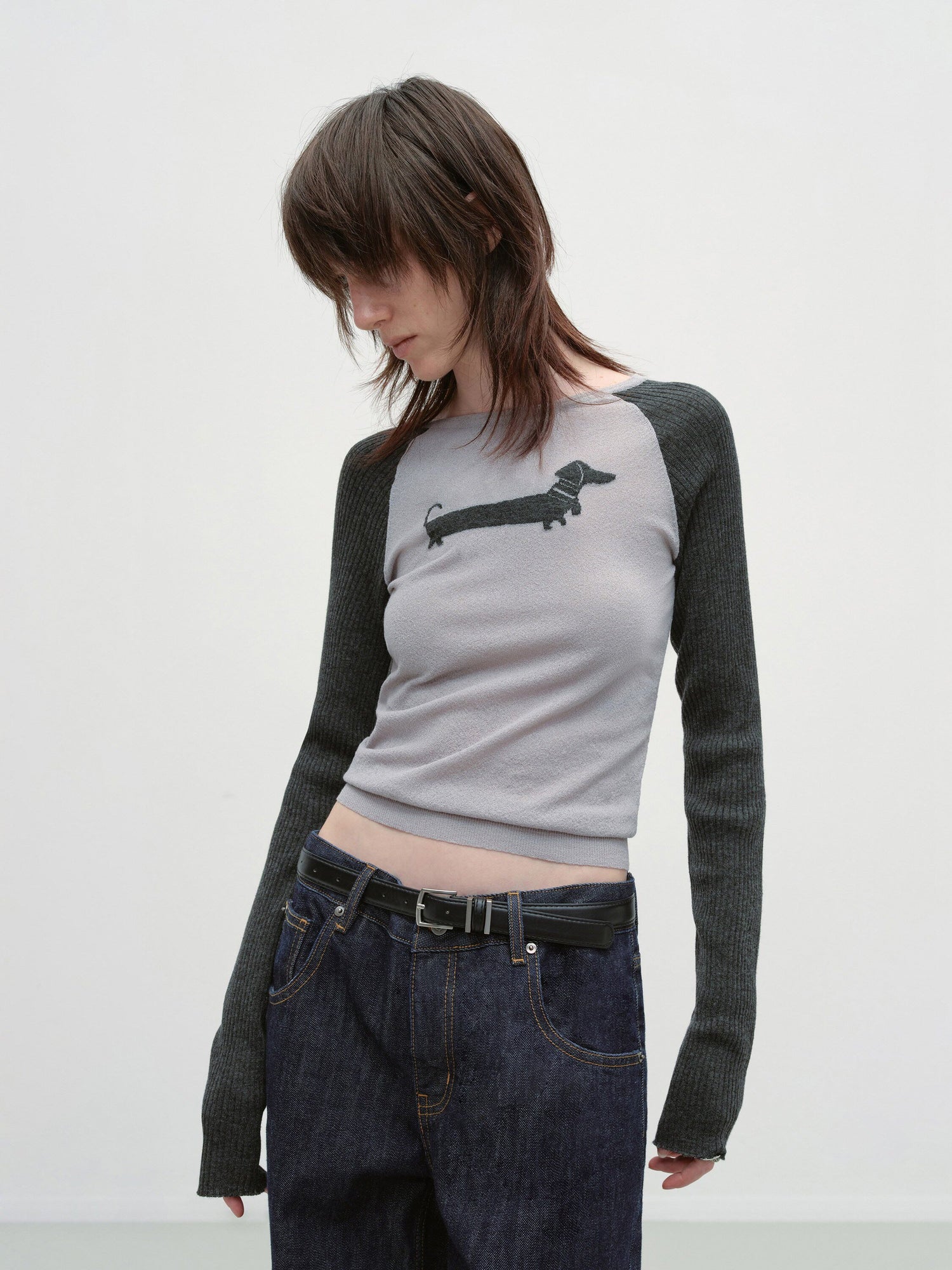 RUN_TO_THE_FUTURE_Breathable_Thin_Knit_Slim_Casual_Raglan_Women_Outdoor_Animal_Crew_Neck_Crop_Tops_MISSTT