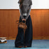 7Shiftin_Spliced_Lace_Natural_Waist_Casual_Women&