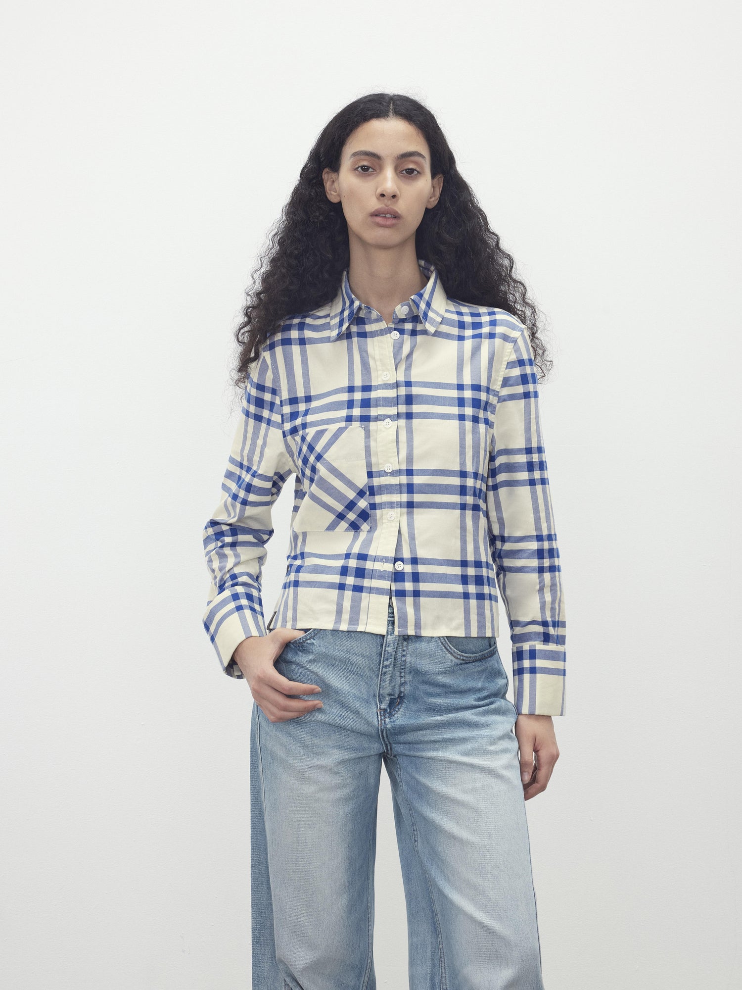 AFTADAWN Classic Blue And White Check Oversized Collar Shirt