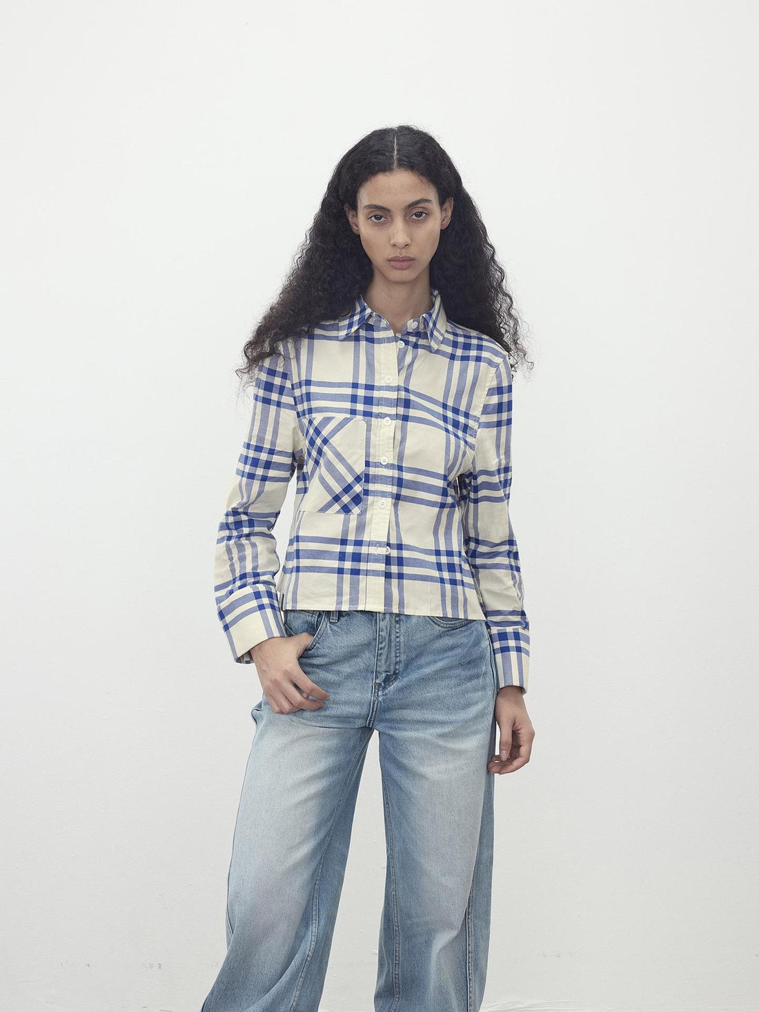 AFTADAWN Classic Blue And White Check Oversized Collar Shirt