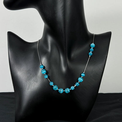 Accessories Blue Cat&