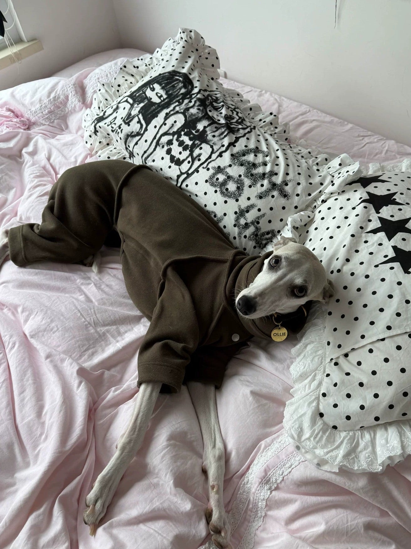 Achihara Soft Machine Washable Cotton Polka Dot Pillowcase 48X74Cm Accessories