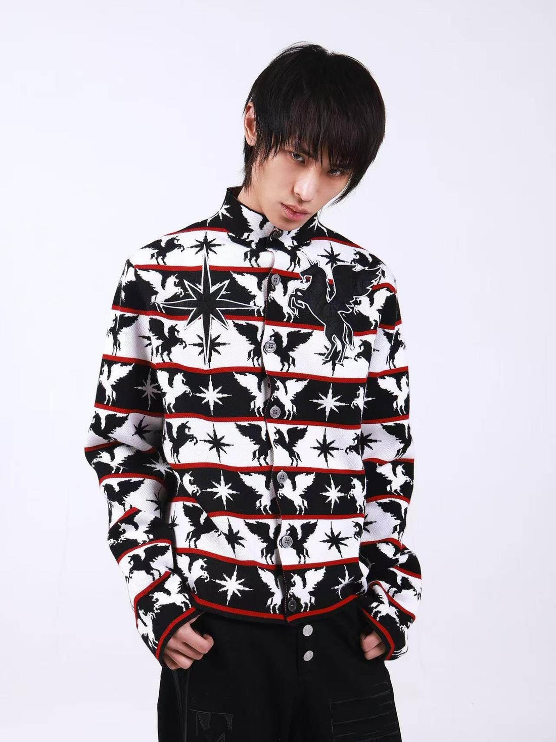DETW onLine Black White Pegasus Starry Animal Knit Stand Collar Women&