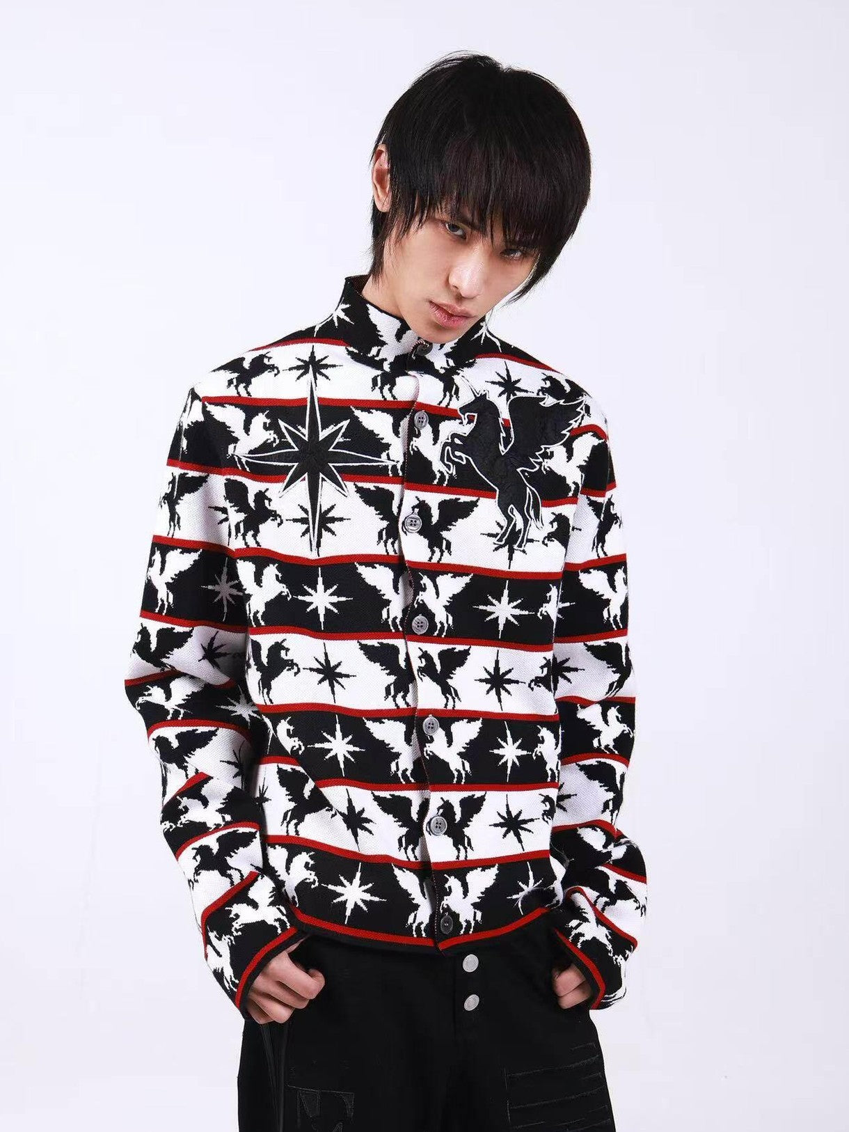 DETW onLine Black White Pegasus Starry Animal Knit Stand Collar Women&