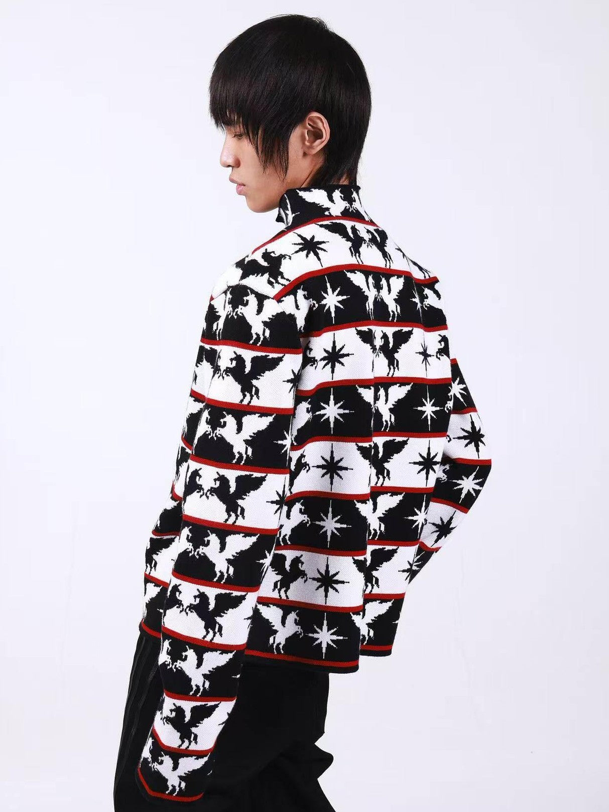 DETW onLine Black White Pegasus Starry Animal Knit Stand Collar Women&