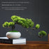 DIDDI_MODA_Embroidered_Fleece_Lined_Women&