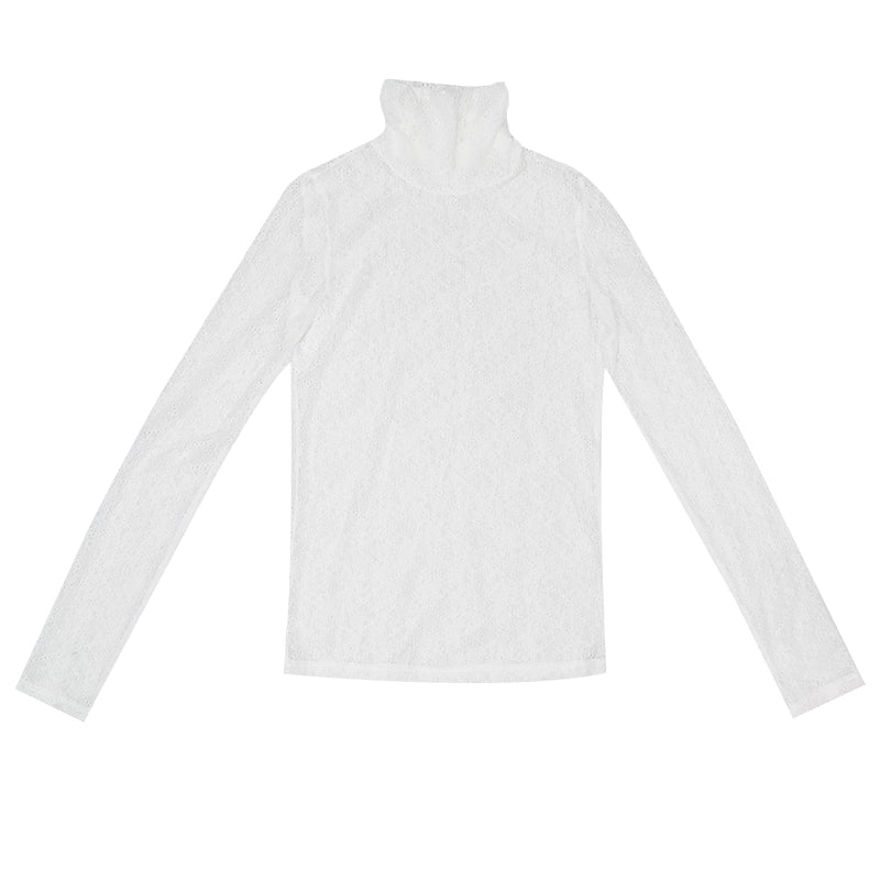 Daytoday_Sheer_Lace_High_Neck_Long_Sleeve_Top_MISSTT