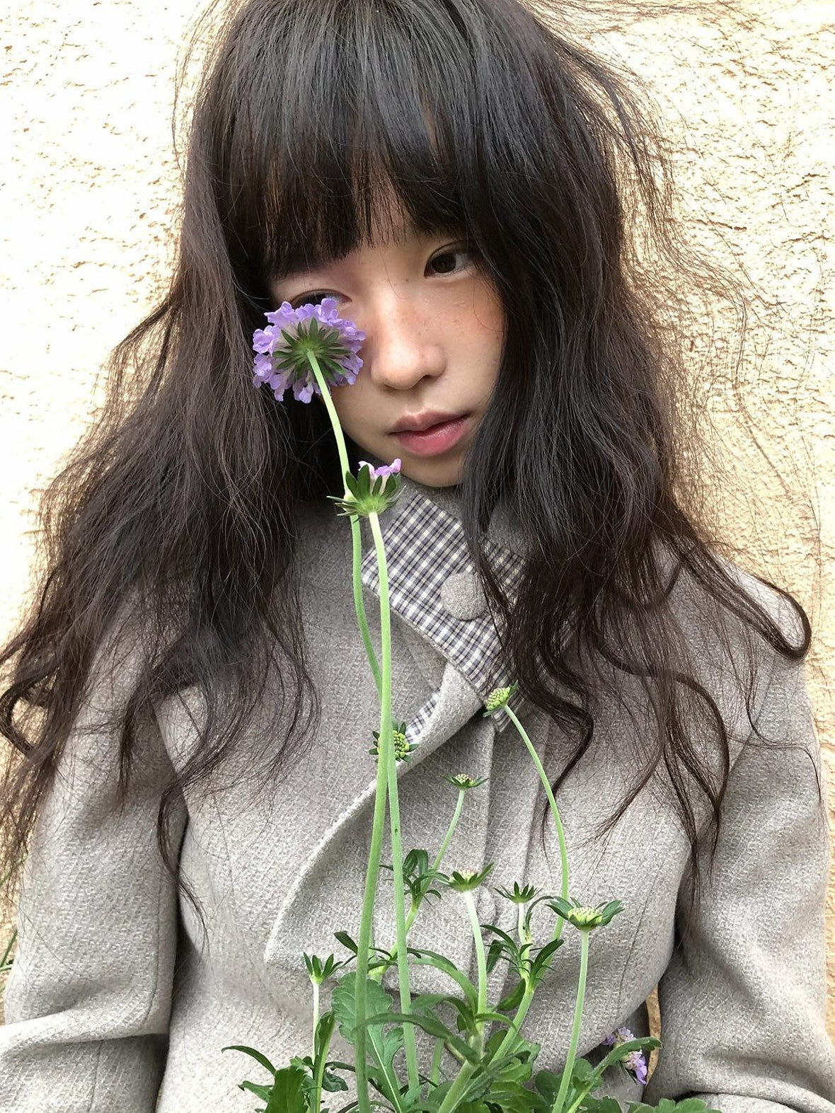 Dorydory Plaid Scarf Collar Waist Cinch Single Breasted Women&