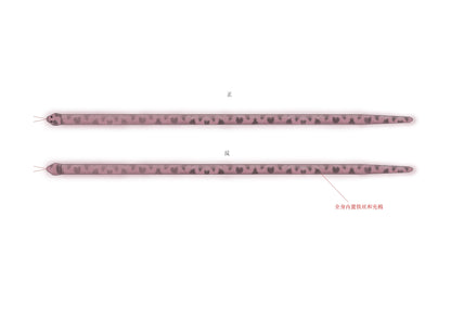 Emoha_Transformable_Pink_Heart_Snake_Doll_Women&