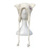 Evil_Tooth_Textured_Plush_Punk_3d_Cat_Ear_Nubby_Sculpted_Women&