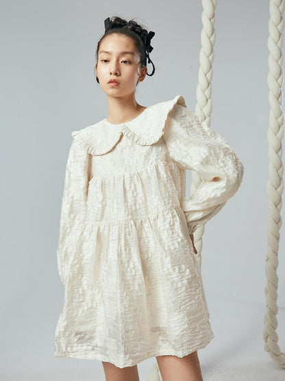 Floral Lace Peter Pan Collar A Line Dress