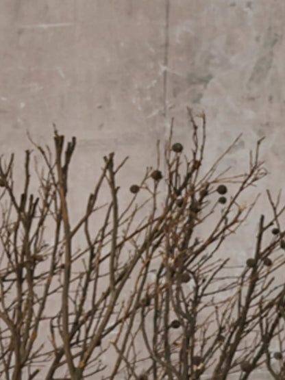 Frustration Garden Light Punk Leopard Leg Warmers