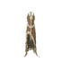NORTH_NODE_Ruffled_Asymmetric_Spliced_V-neck_Women&