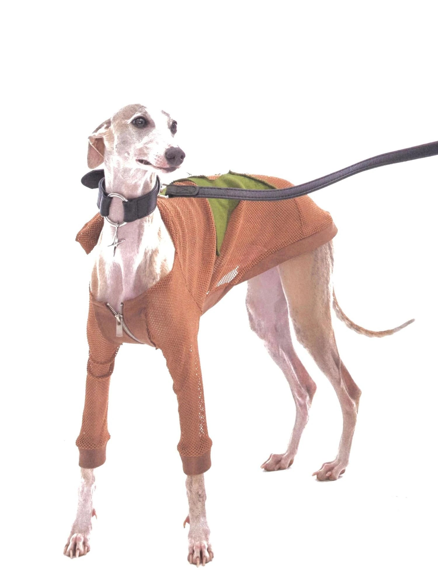 Retro Star Patch Hooded Jacket For Whippet