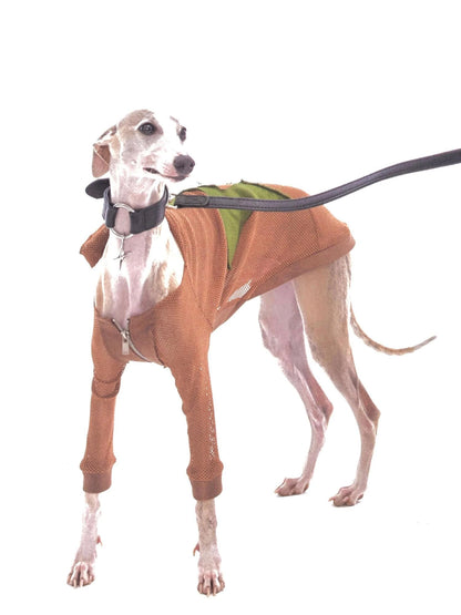 Retro Star Patch Hooded Jacket For Whippet