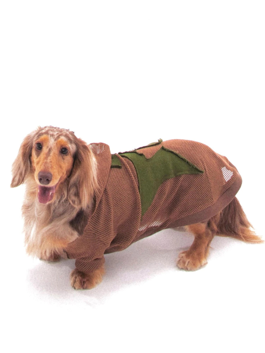 Retro Star Patch Hooded Jacket For Whippet