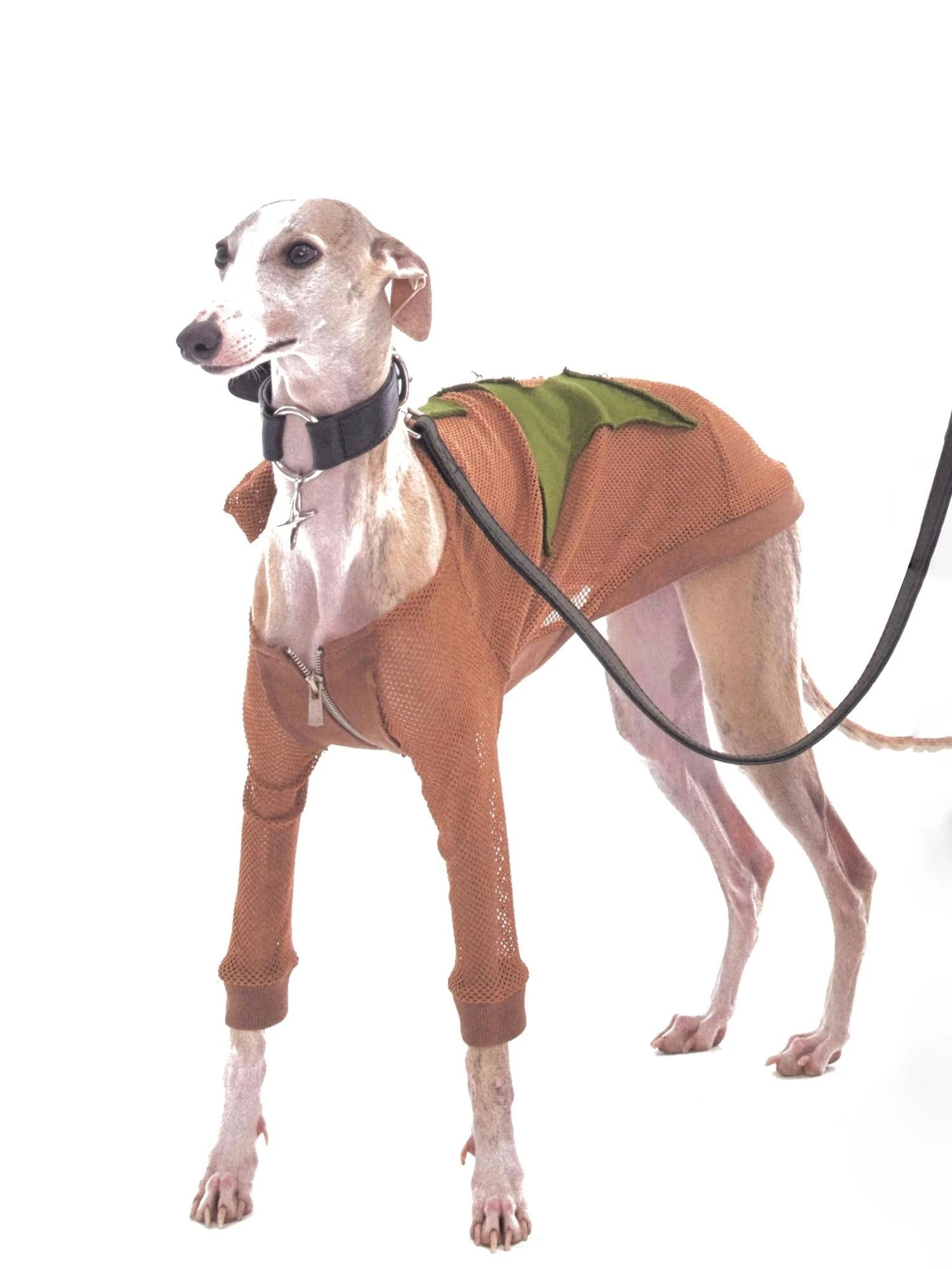 Retro Star Patch Hooded Jacket For Whippet