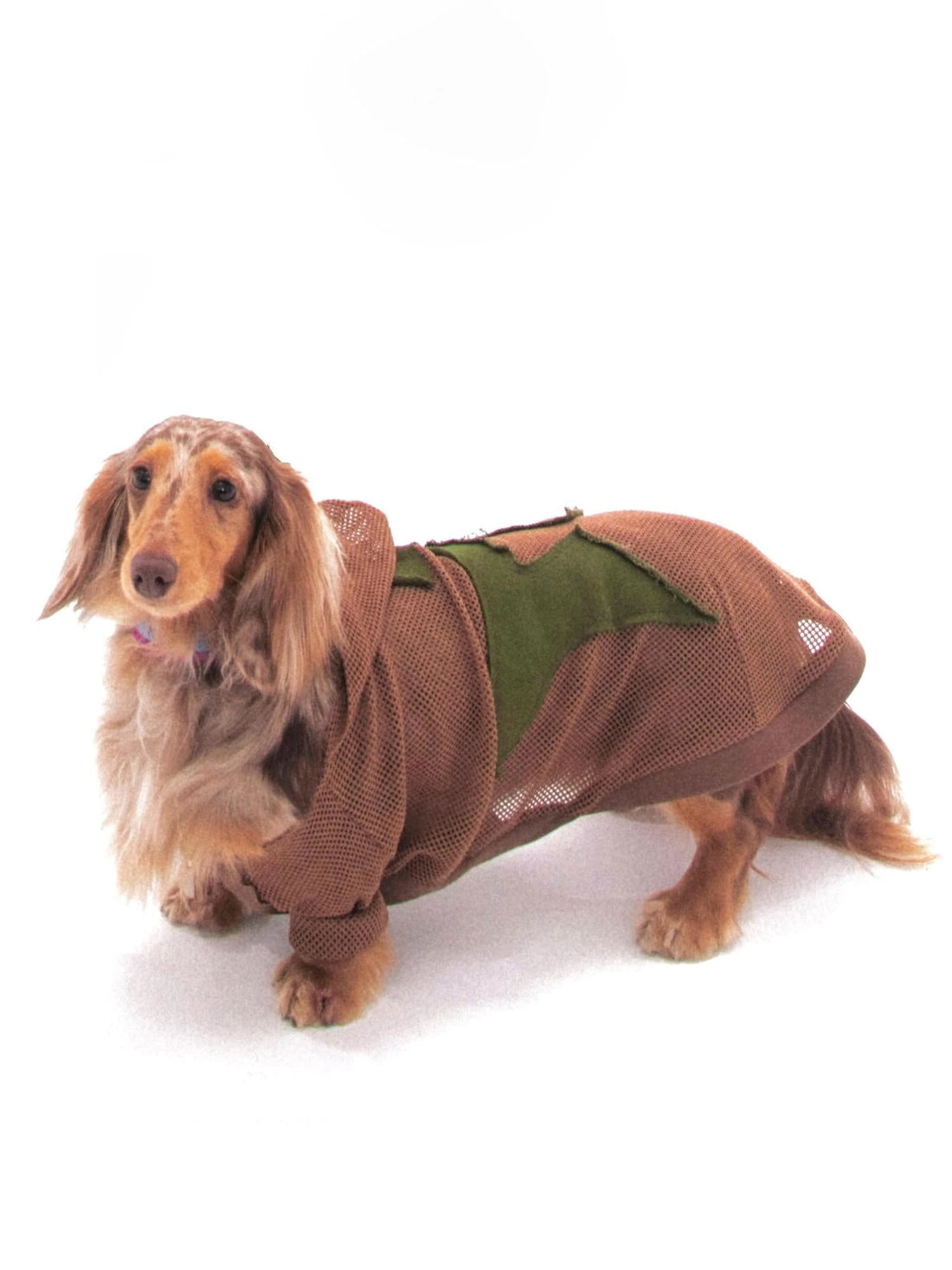 Retro Star Patch Hooded Jacket For Whippet