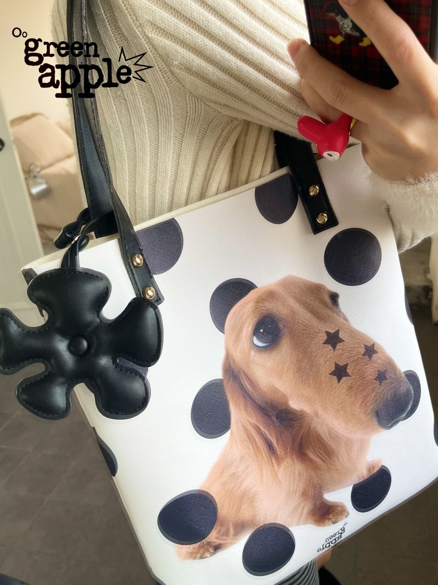 Oogreenapple_Star_Dachshund_Printed_Envelope_Tote_Women&