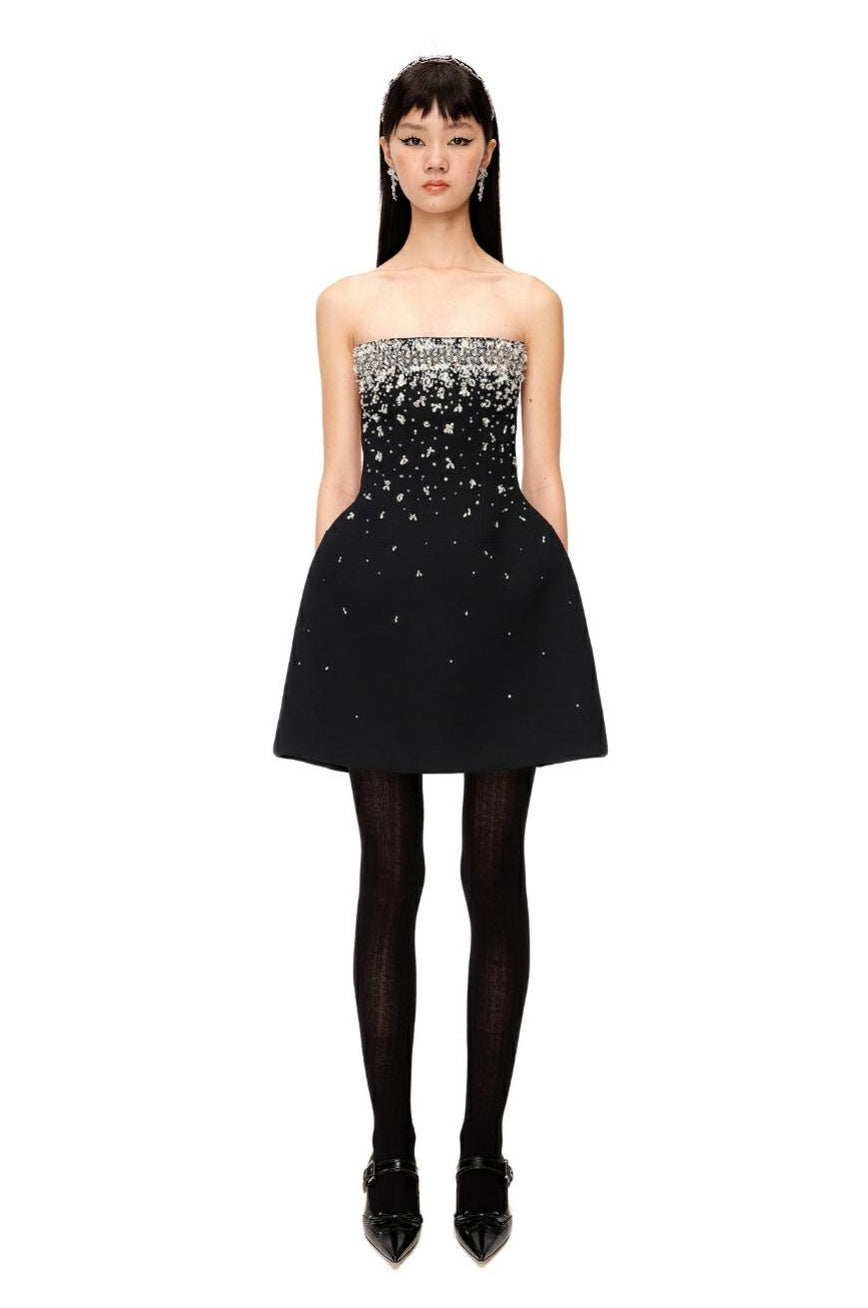 Sparkling Strapless Dress with Rhinestone Embellishments