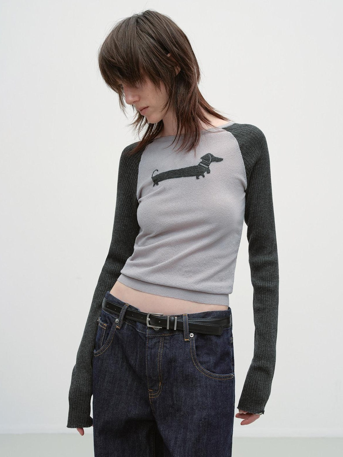 RUN TO THE FUTURE Breathable Thin Knit Slim Casual Raglan Women Outdoor Animal Crew Neck Crop Tops