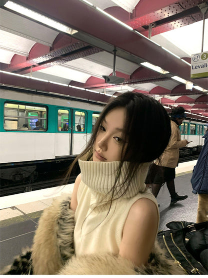 itsdinn Cropped High Neck Knitted Solid Women&