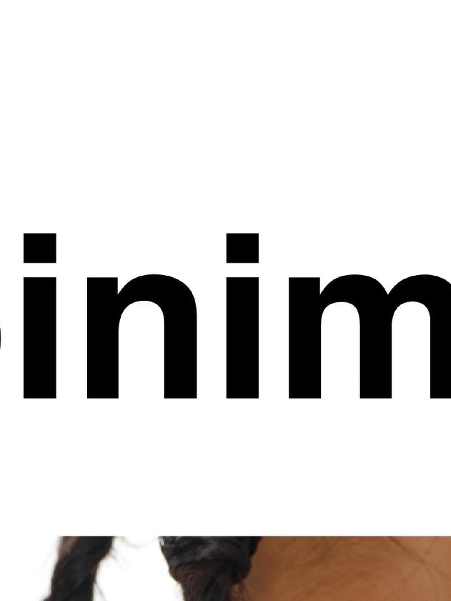 oinimi Fun Print Mesh Long Sleeve Base Layer Color Blocking